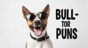 bull terrier puns