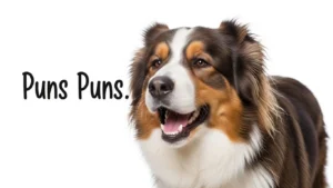 caucasian shepherd puns
