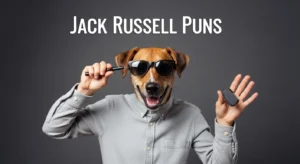 jack russell puns