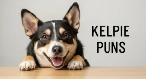 kelpie puns