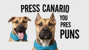 presa canario puns