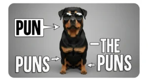 rottweiler puns