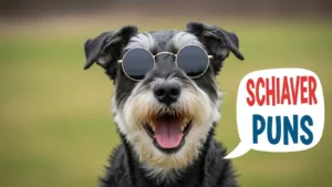 schnauzer puns