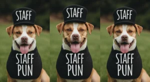 staffy puns