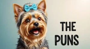 yorkie puns