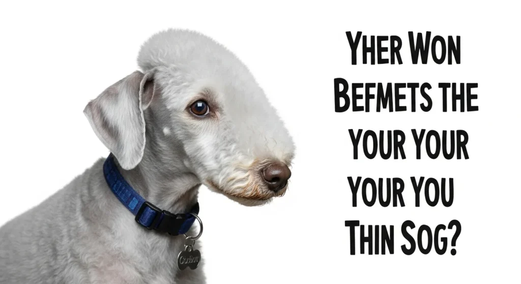 bedlington terrier puns