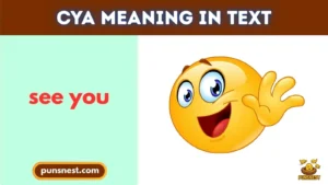 CYA Meaning in Text