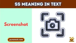 SS Meaning in Text